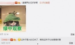 忍无可忍爆料视频下载,揭秘惊人内幕，真相令人震惊！